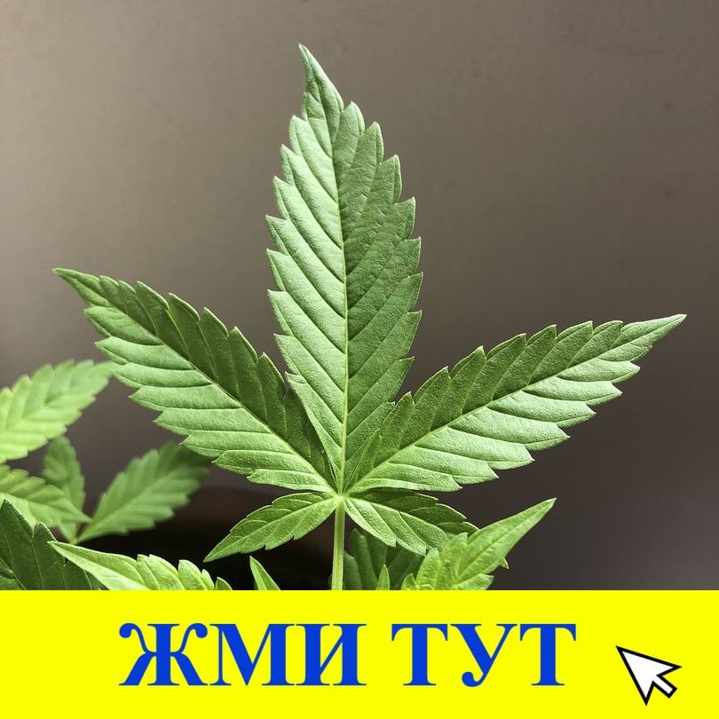 Купить наркотики в Топках